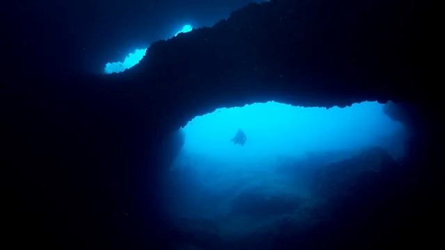 A cave with a diver in the water

Description automatically generated