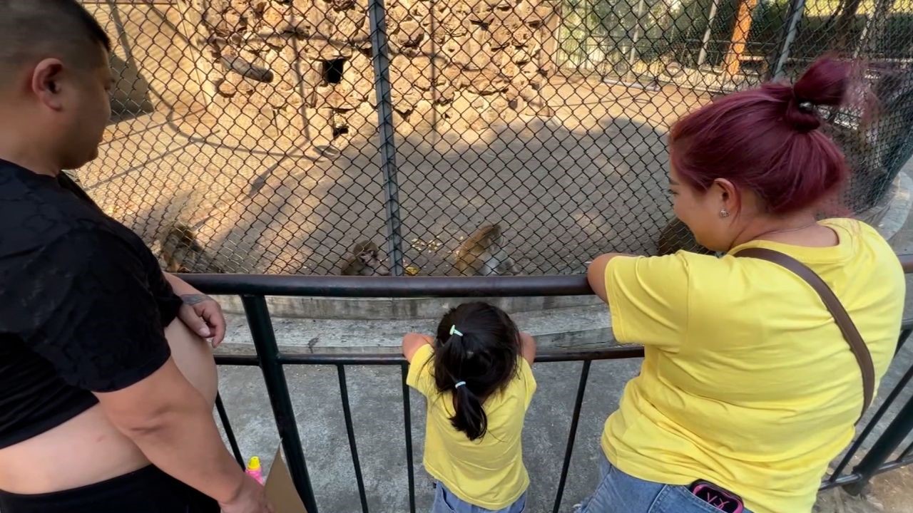 Visitors to the zoo at Dongshan Park pictured on September 14.